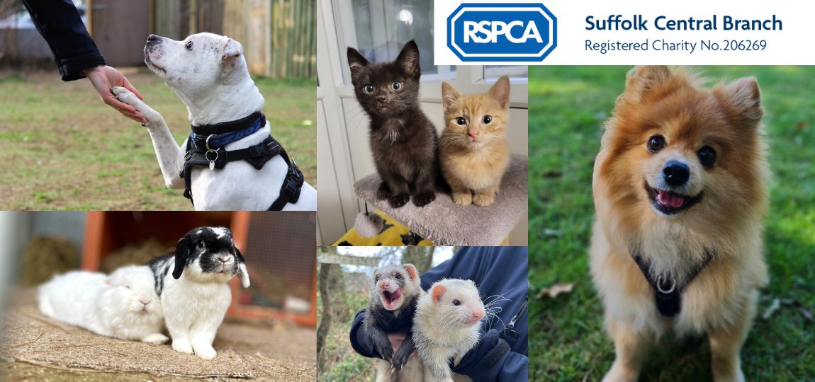 RSPCA Suffolk animals